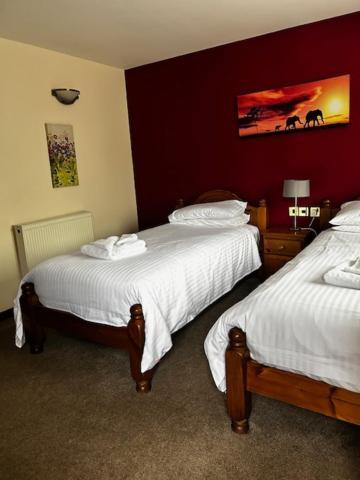 The Fountain Inn Tenbury Wells 外观 照片